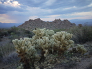 photo thumbnail #13