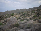 photo thumbnail #14