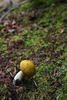 photo thumbnail #15