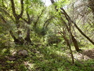 photo thumbnail #11