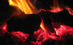 photo thumbnail #10