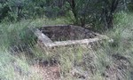 photo thumbnail #4