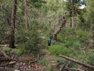 photo thumbnail #10