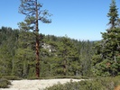 photo thumbnail #14