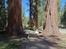 photo thumbnail #5