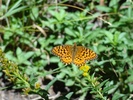 photo thumbnail #12