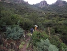 photo thumbnail #1