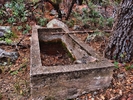 photo thumbnail #12