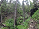 photo thumbnail #8