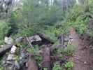 photo thumbnail #13