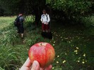 photo thumbnail #7
