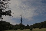 photo thumbnail #11