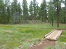 photo thumbnail #3