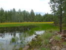 photo thumbnail #4