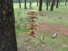 photo thumbnail #9