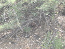 photo thumbnail #3