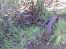 photo thumbnail #4