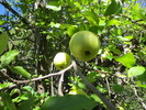 photo thumbnail #5
