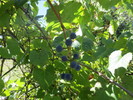 photo thumbnail #7