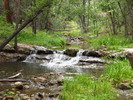 photo thumbnail #7