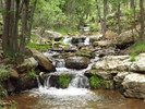 photo thumbnail #12