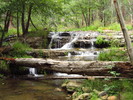 photo thumbnail #15