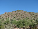 photo thumbnail #1