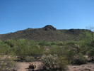 photo thumbnail #2