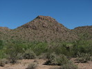 photo thumbnail #3