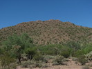 photo thumbnail #4