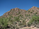 photo thumbnail #5