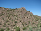 photo thumbnail #6