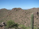 photo thumbnail #8