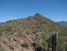photo thumbnail #12