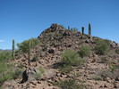 photo thumbnail #15