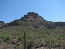 photo thumbnail #1