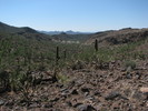 photo thumbnail #11