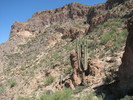 photo thumbnail #14