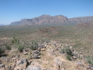 photo thumbnail #2