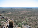 photo thumbnail #8