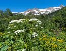photo thumbnail #12