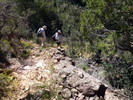 photo thumbnail #13