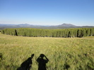 photo thumbnail #1