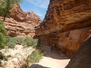 photo thumbnail #12