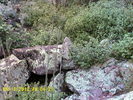 photo thumbnail #2