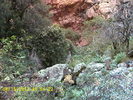 photo thumbnail #5