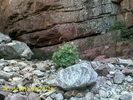 photo thumbnail #10