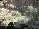 photo thumbnail #15