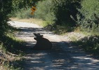 photo thumbnail #2