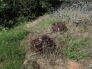 photo thumbnail #2